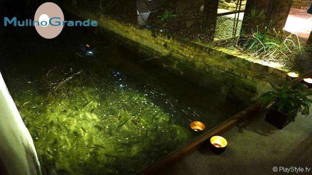 Cusago Hotel Mulino Grande מראה חיצוני תמונה
